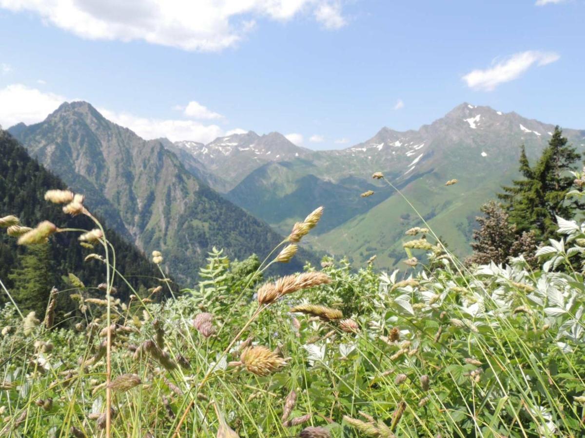 Studio Cauterets, 1 pièce, 4 personnes - FR-1-234-269 Esterno foto